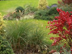 -陆家嘴中心绿地