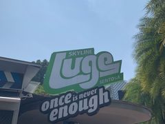 -圣淘沙天际线斜坡滑车
