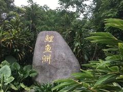 -福建鲤鱼洲酒店