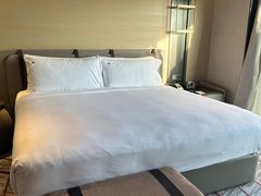 -新加坡瑞士史丹福酒店