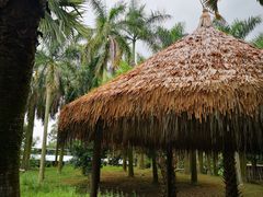 -广东茂名森林公园