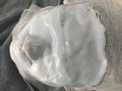 -skin皮肤管理中心