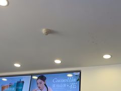 -雾与山茶(大禹城店)