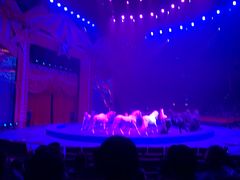 -珠海横琴长隆《卡卡虎奇遇记》