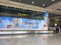 -丽江三义国际机场