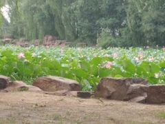 -南戴河国际娱乐中心