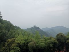 -莫干山风景区