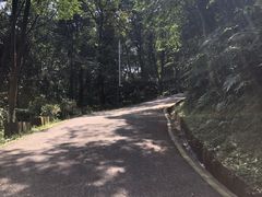 -广州市帽峰山景区
