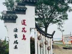 -渔娘蟹庄(阳澄湖莲花岛店)