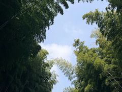 -还是那家•秘制活鱼现烤•香辣美蛙(独墅湖邻里中心店)