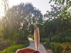 -元大都城垣遗址公园