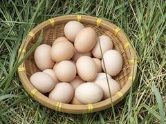 -亚马逊蒸汽活海鲜自助(长宁来福士店)