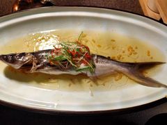 白油蒸柳叶鱼-酝· 大师滇菜(公园1903店)