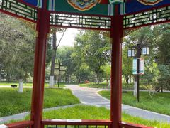 -西海子公园