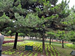-石家庄市植物园