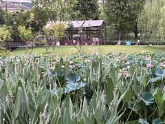 -沐仙湖湿地公园