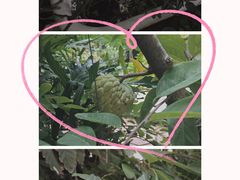 -时光花园(白鹭洲店)