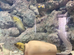 -福州罗源湾海洋世界旅游区