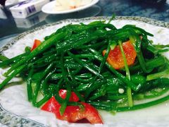 -白家寨子·山野白族菜(古城总店)