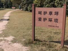 -新江湾城公园