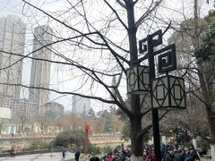 -成都市活水公园