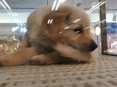 -乐宠宠物店(世纪金源店)