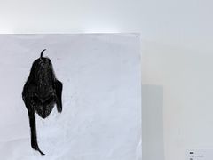 -金泽21世纪美术馆