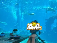 -涛·海底餐厅·美人鱼·自助餐·海底隧道(三亚海棠湾洲际度假酒店)