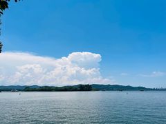 -杭州西溪喜来登度假大酒店