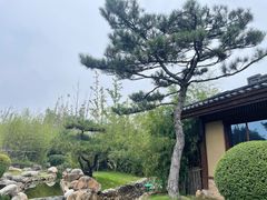 -诗经里