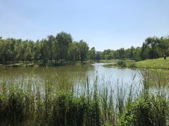 -东郊湿地公园