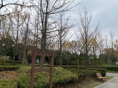-黄兴公园