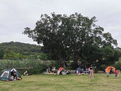 -牛岗山公园