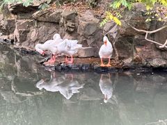 -兰亭风景区