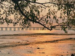 -宝安西湾红树林湿地公园