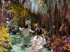 -正佳雨林生态植物园