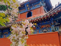 -洛阳白马寺