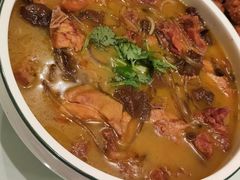 本地鸡炖蘑菇-知音酒楼(花园店)