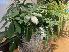 -鑫花溪牛肉米粉(凤凰街创始总店)