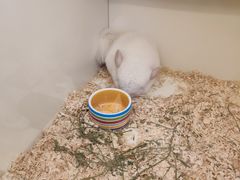 -龙猫仔乐园(惠福东路店)