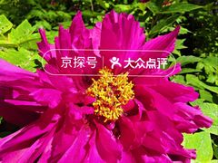 -仁和公园(顺义区)