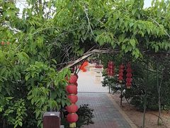 -大连步云山老汤度假山庄