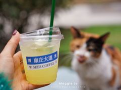 -喜柿咖啡SeeS coffee
