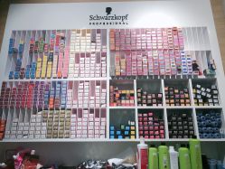 -CARR SALON