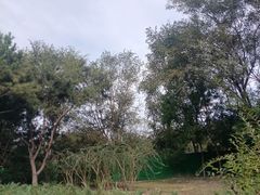 -东升文体公园
