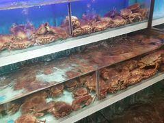 -盒马X会员店(王府井奥莱UP TOWN店)