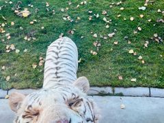 -北京野生动物园