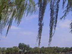 -萤火虫咖啡(后海店)