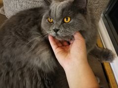 -猫和宫(六道口店)