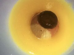 -小南国(金沙江路店)